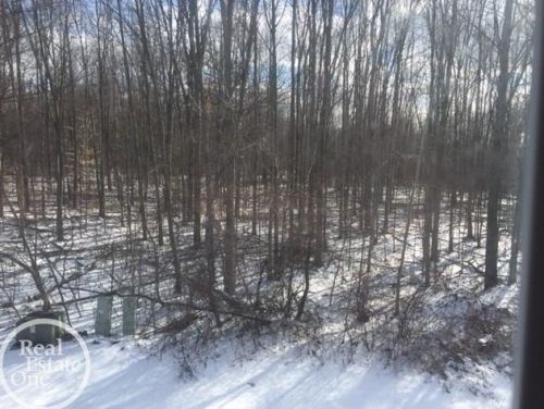 52058 Heatherstone Ave, Macomb Township MI  48042-3554 exterior