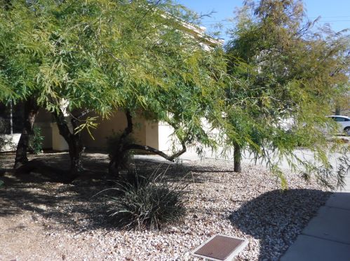 23405 22nd Way, Phoenix AZ  85024-8677 exterior