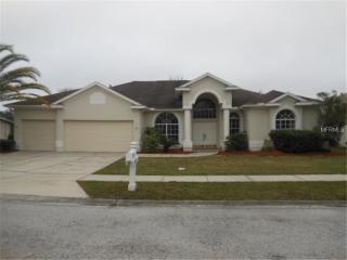 28750 Hanging Moss Loop, Zephyrhills, FL 33543-6456