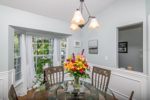 3816 Leona St, Tampa FL 33629-7824 exterior