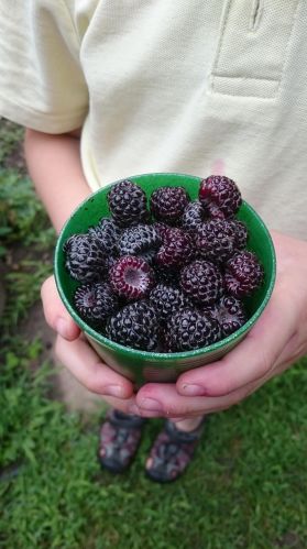 1377 County Road E, Saint Paul MN  55110-5231 exterior