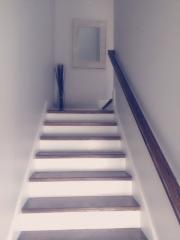 17 Taylor St, Boston MA  02122 exterior