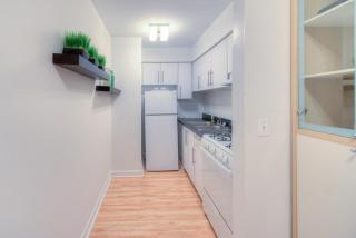 537 Melrose St, Chicago IL  60657-3773 exterior