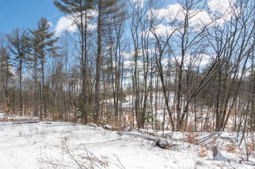 161 Bear Hl Rd, Concord NH 03307-1412 exterior