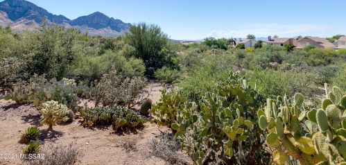 1484 Ganymede Dr, Tucson AZ 85737-3418 exterior