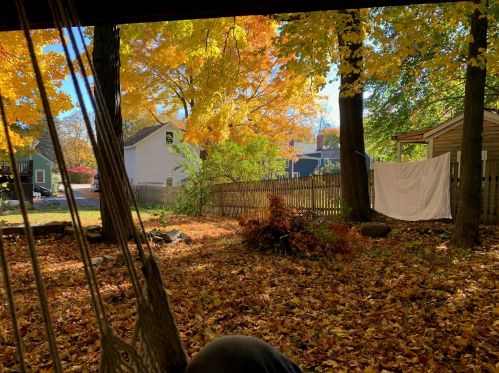 153 Locust St, Dover NH 03820-4008 exterior