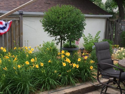 689 Cottage Ave, Saint Paul MN 55117-4103 exterior