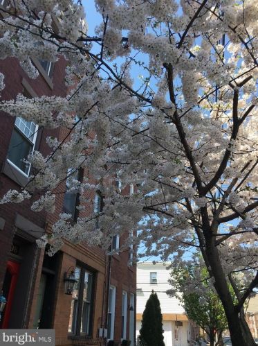 2308 Cumberland St, Philadelphia PA 19132-4119 exterior