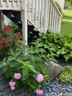 5934 Main St, Maple Plain MN 55359-9359 exterior