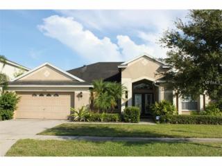 13748 Artesa Bell Dr, Riverview, FL 33579-2398