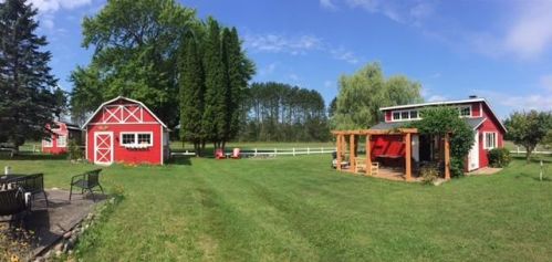 5358 Reams Rd, Alanson, MI 49706-9624