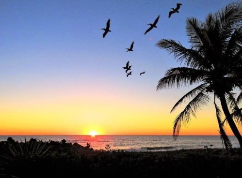 341 Springview Loop, Fort Pierce FL  34986-2664 exterior