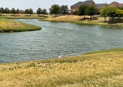 722 Burr Oak Dr, Frisco TX 75033-8652 exterior