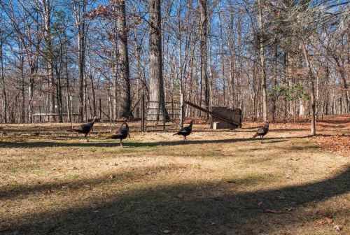 107 Bedell Rd, Poughkeepsie NY 12603-1041 exterior