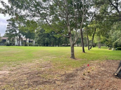 3502 Country Club Blvd, Montgomery TX 77356-8541 exterior