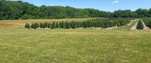 3731 Baseline Rd, Gobles MI 49055-8813 exterior