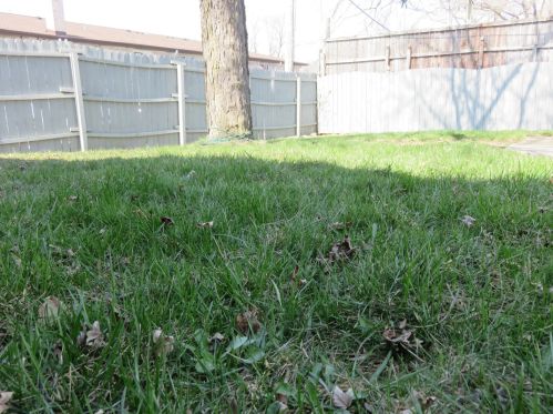 3656 123 Pl, Chicago IL 60803-1012 exterior