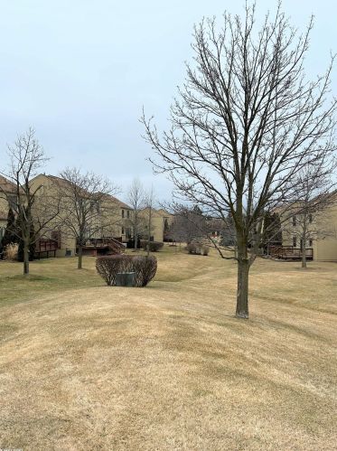 2239 Crystal Dr, Rochester MI 48309-3755 exterior