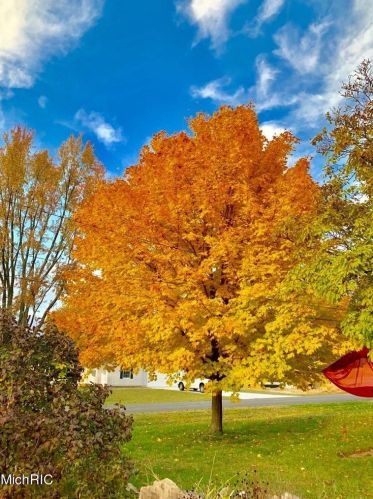 6608 College Ave, Grand Rapids MI 49548-6948 exterior