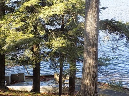 488 Ruddiman Dr, Meskegon MI 49445-3041 exterior