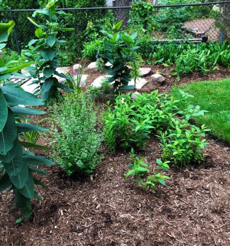 6211 Greenview Ave, Chicago IL  60660-1822 exterior