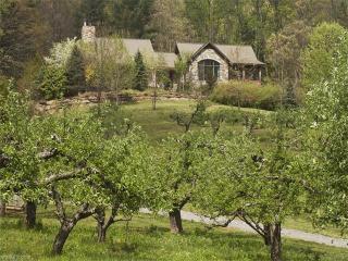 40 Sugar Hollow Orchard Dr, Fairview NC  28730-9131 exterior
