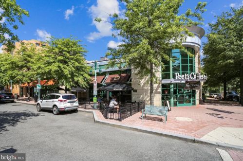 311 Kentucky Ave, Alexandria VA 22305 exterior