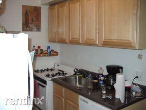 1103 Barry Ave, Chicago IL  60657-4332 exterior