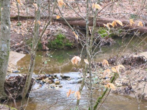 5548 Checkered Spot Dr, Gainesville GA 30506-7336 exterior