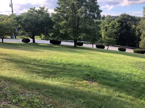 113 Main St, Manor PA 15665-9755 exterior