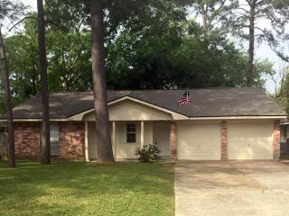 23115 Earlmist Dr, Spring TX  77373-6491 exterior