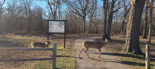 5332 Delphia Ave, Chicago IL  60656-2689 exterior