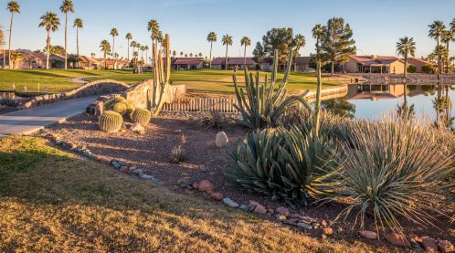 1863 Peach Tree Dr, Chandler AZ 85249-8917 exterior