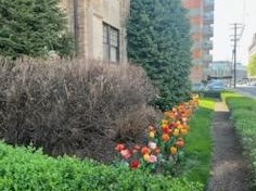 166 Dithridge St, Pittsburgh PA  15213-2699 exterior