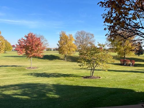 9504 Georgetown Ln, Bull Valley, IL 60014-3333