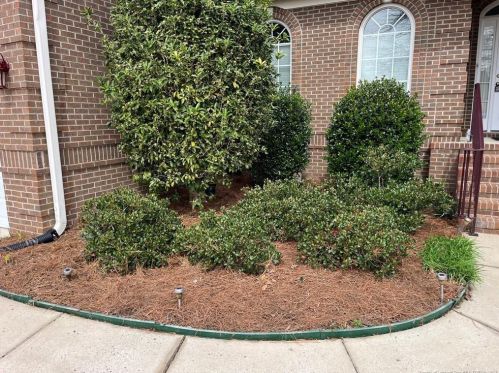 504 Hickory Leaf Ct, Lumberton NC 28358-2336 exterior