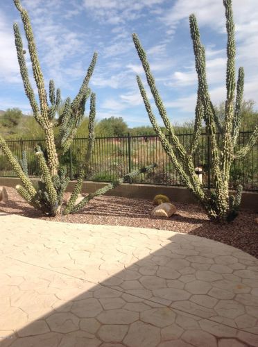 40967 Courage Trl, Phoenix AZ  85086-2537 exterior