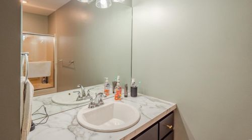 572 Spring Cave Rd, Spring Bluff MO exterior