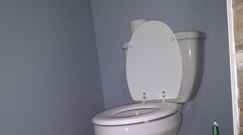 607 Hamlin Ave, Chicago IL  60624-1126 exterior