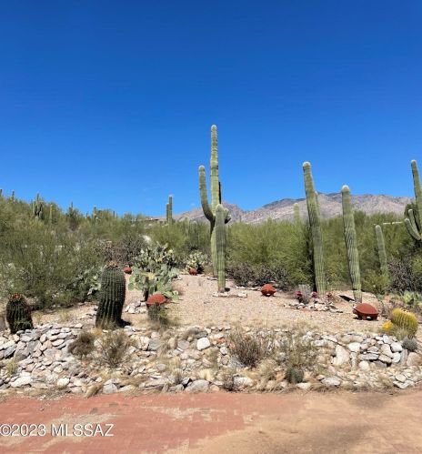 5040 Camino Esplendora, Tucson AZ 85718-4508 exterior