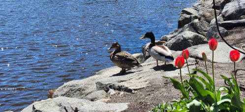 125 Main St, Newmarket NH 03857-1600 exterior