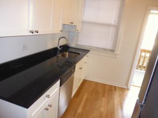 734 Grace St, Chicago IL  60613-4101 exterior