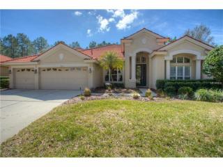 10234 Arbor Side Dr, Tampa FL  33647-2951 exterior