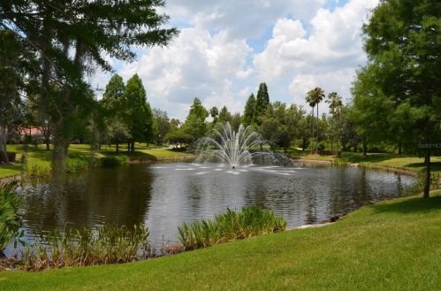 10144 Arbor Run Dr, Tampa FL  33647-3566 exterior