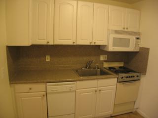 171 Street, Boston MA  02130 exterior