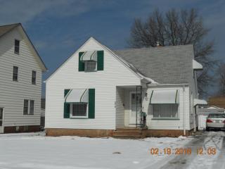 3010 Russell Ave, Cleveland OH  44134-1940 exterior