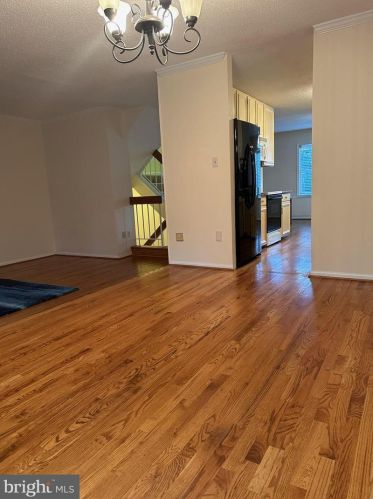 10904 Pebble Run Dr, Silver Spring MD 20902-3685 exterior