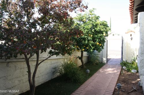 167 Circulo Napa, Green Valley AZ 85614-2822 exterior