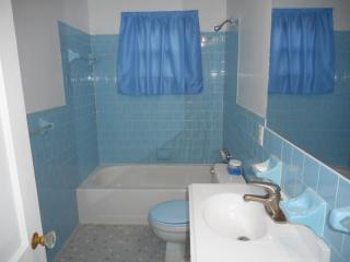 1234 Meridene Dr, Baltimore MD  21239-1942 exterior