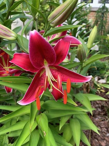 6024 Keating Ave, Chicago IL  60629-5410 exterior